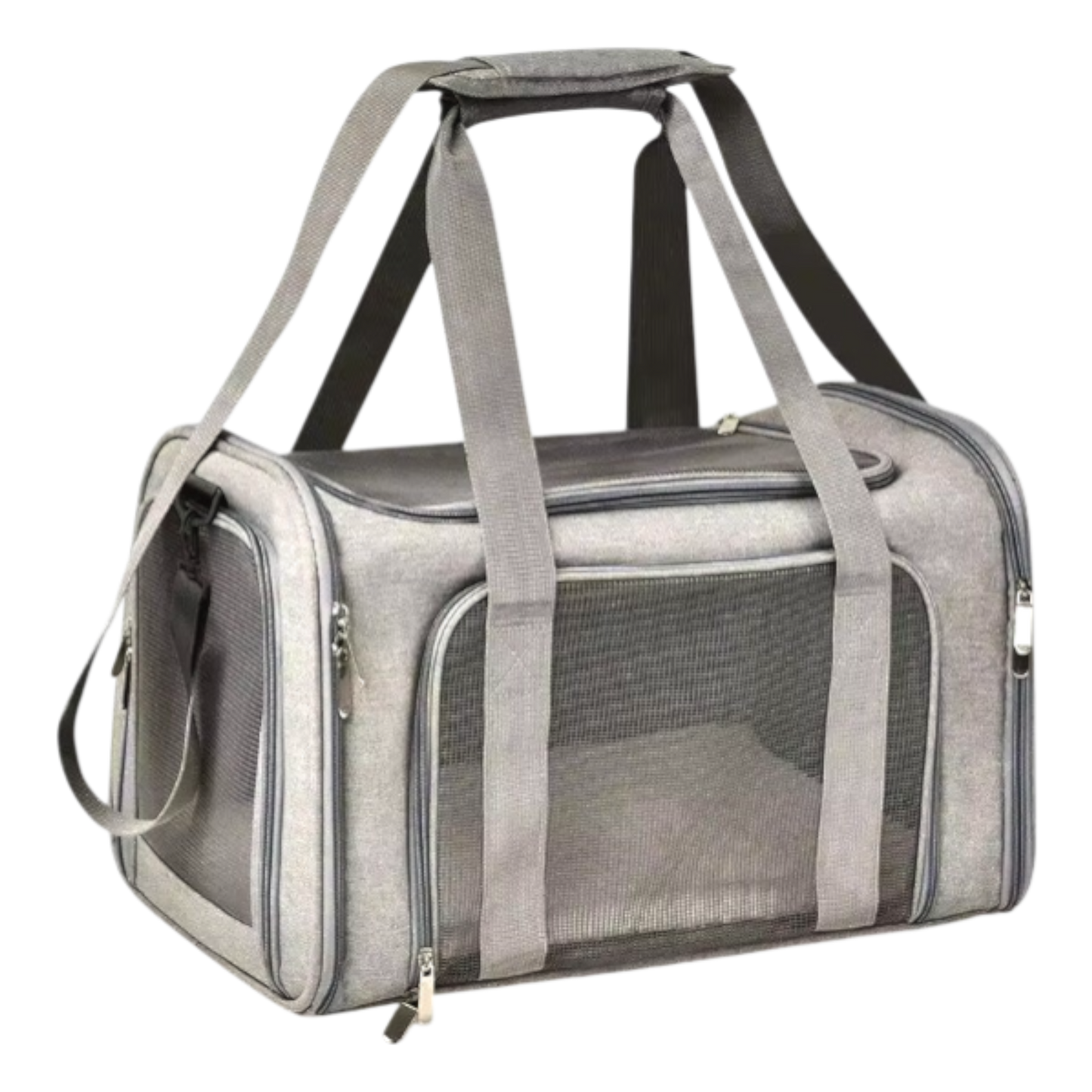 AirPaws – Fliegende Hunde