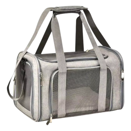 AirPaws – Fliegende Hunde
