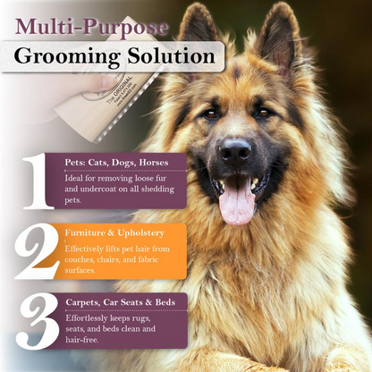 Dog with grooming solution packaging and text about its uses for pets, furniture, and carpets.
