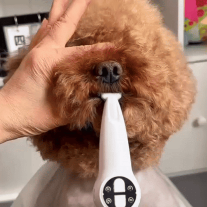 Trimpaw Max – 2-in-1 Trimmen und Schneiden