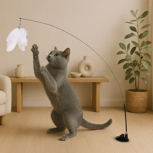 CatPlay™ – Interaktives Katzenspiel