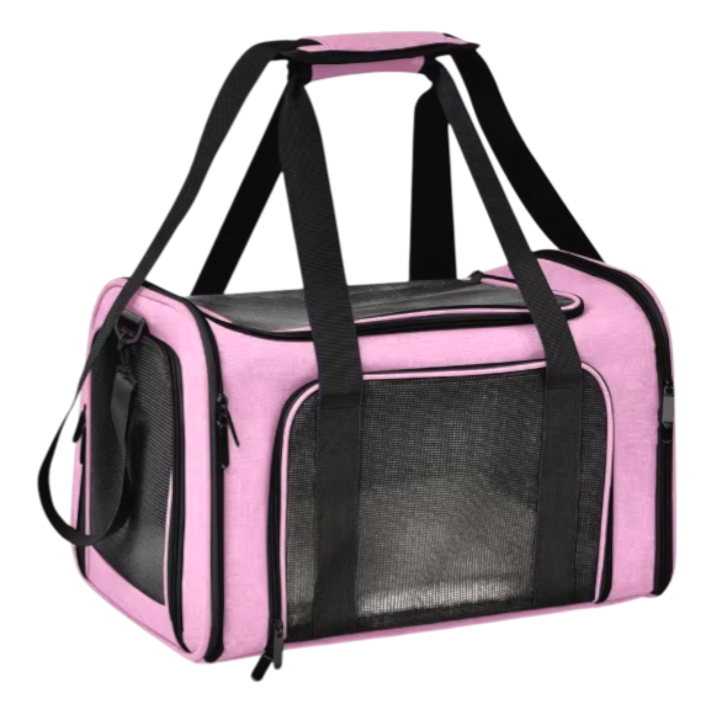 AirPaws – Fliegende Hunde