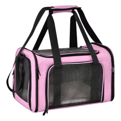 AirPaws – Fliegende Hunde