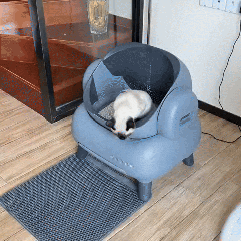 MeowMatic Litter Robot 4 – Automatisches Kattenback mit Steuerung und App-Funktion