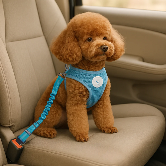WoofBelt™ – Hondengordel auto